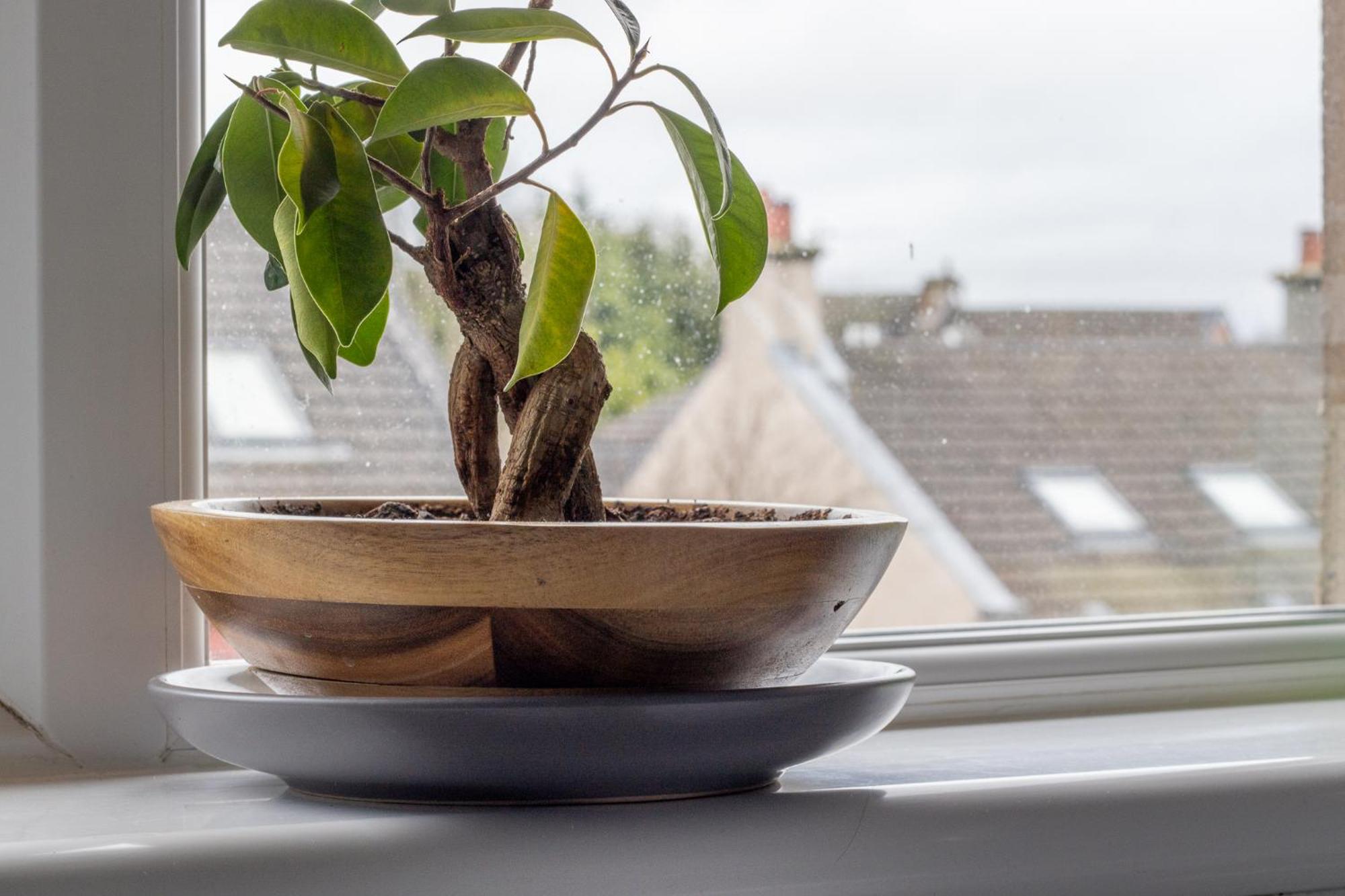 1 Bed Apartment Central Hamilton Free Wifi With Great Transport Links To Glasgow 外观 照片